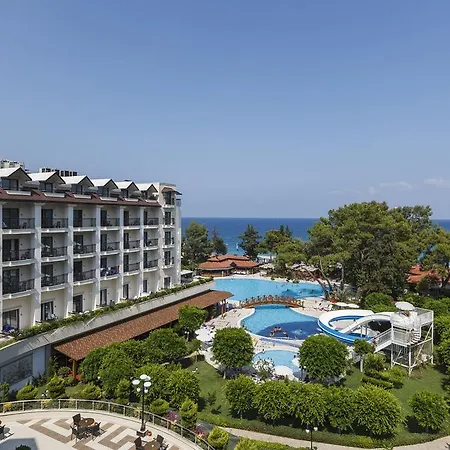 Sentido Palmet