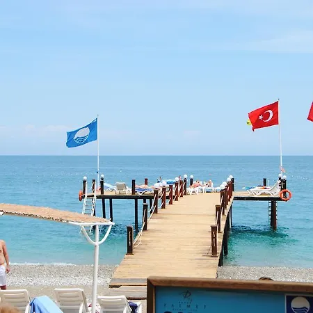 Sentido Palmet